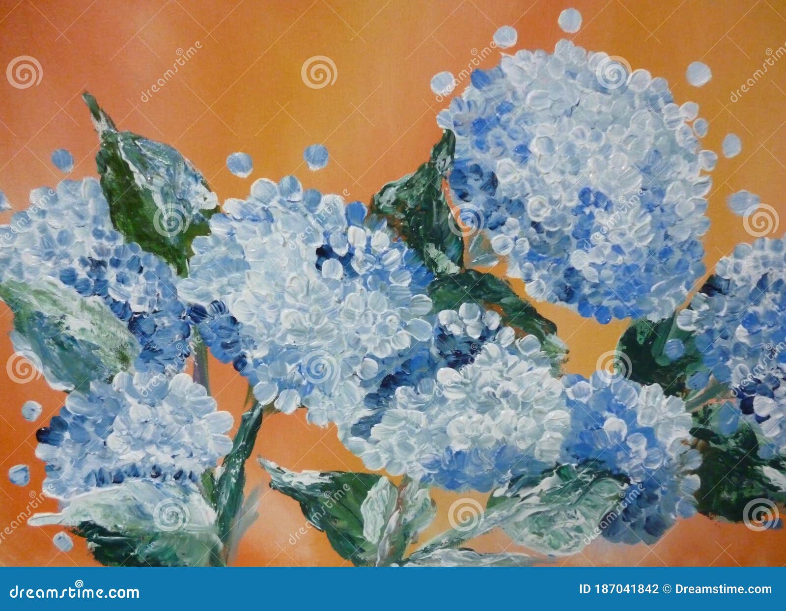 blue hydrangeas flowers over an orange background