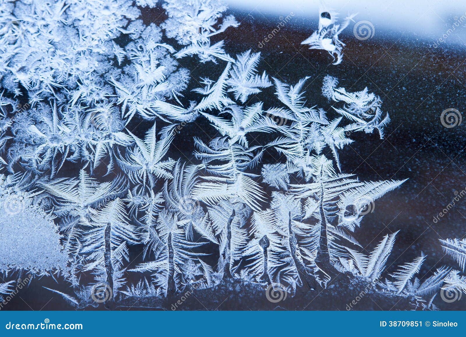 Blue ice flower background stock image. Image of design 38709851