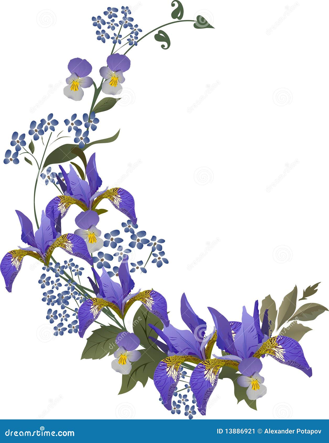 clipart iris flower - photo #44
