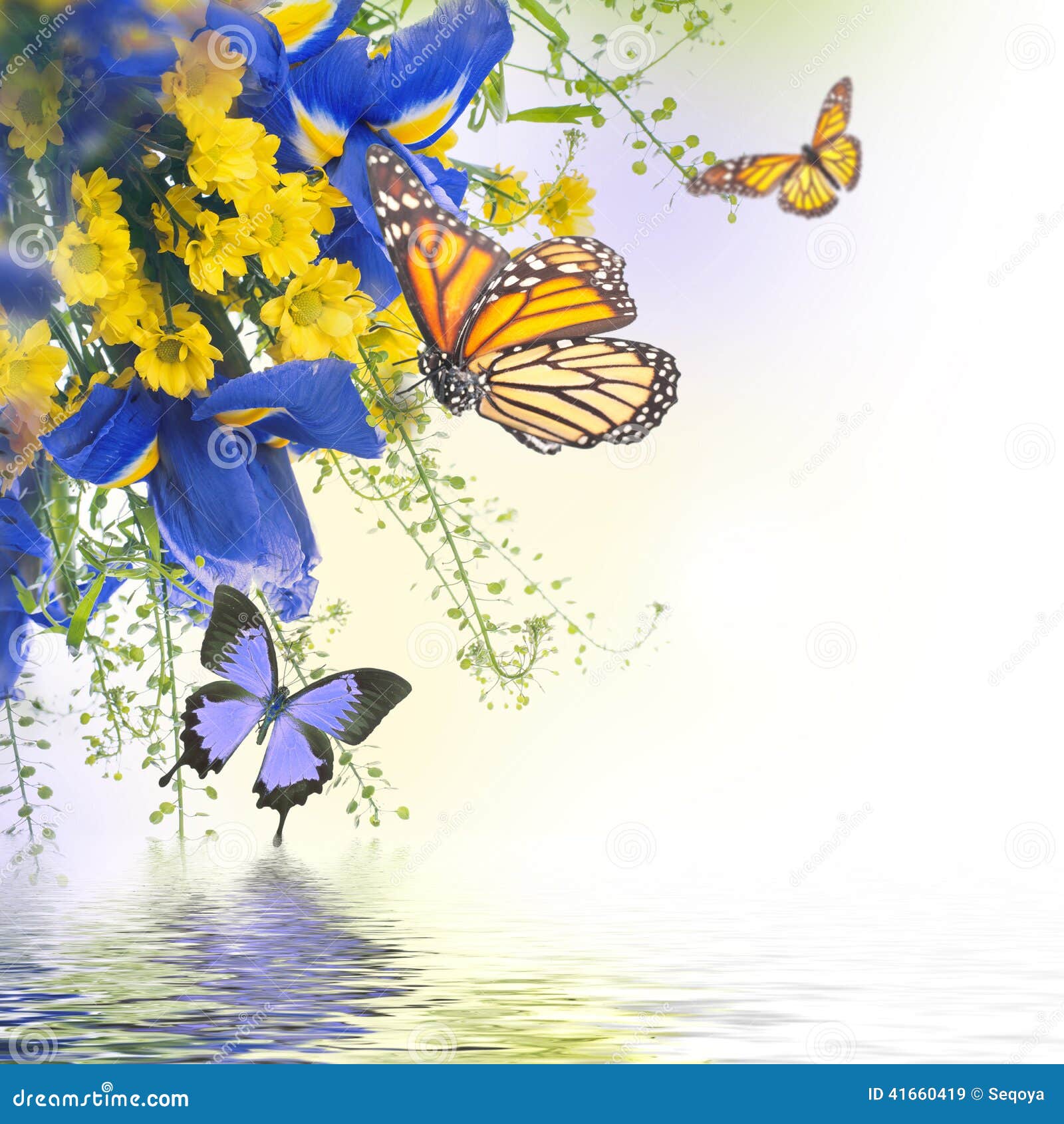 Blue Irises with Yellow Daisies Stock Image Image of purple, iris