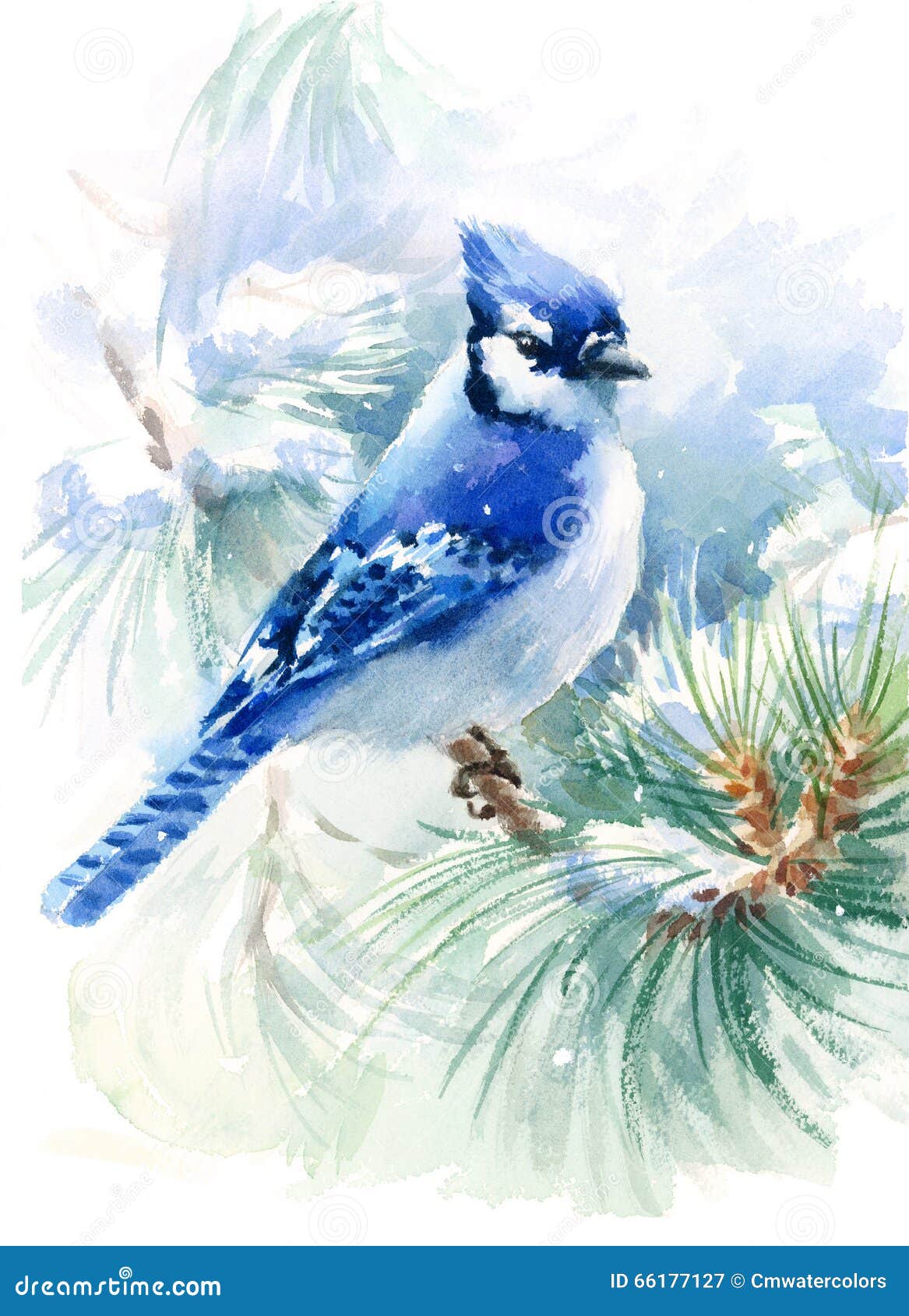 snow bird sketch snow bird sketch