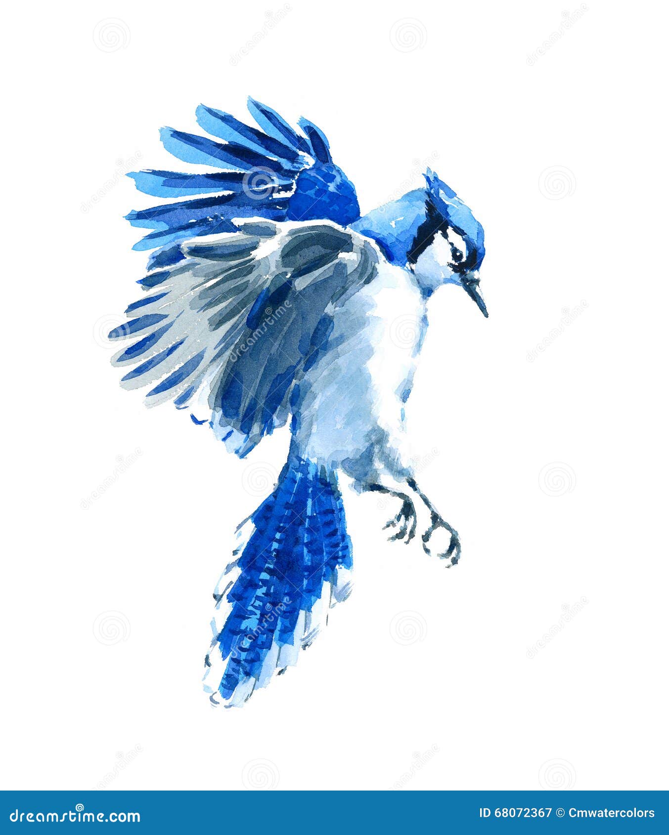 Blue Jay Bird Perching On A Cherry Tree. AI Generated Illustration ...
