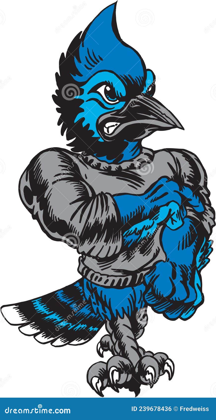 Blue Jay Vector Illustration Stock Vector - Illustration of mascot