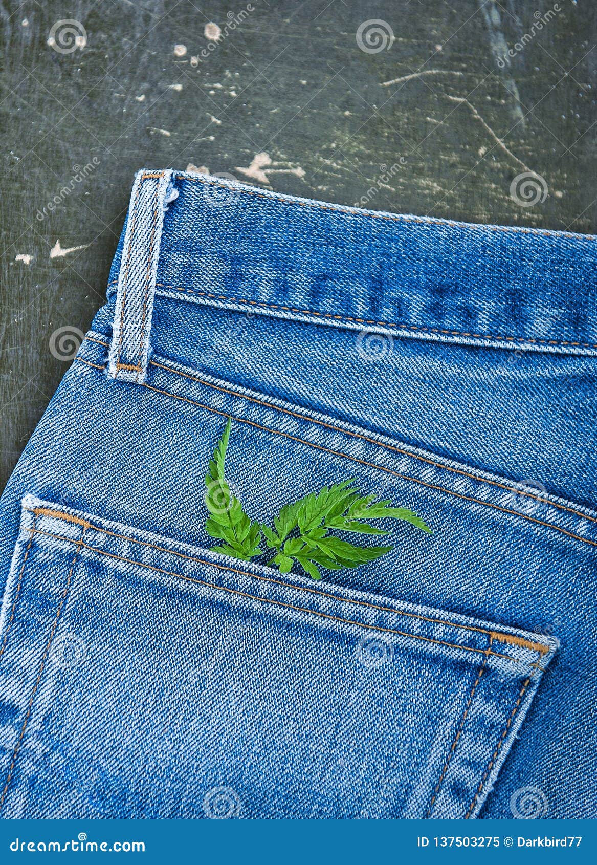 Jeans Pocket with Plant Branch on the Old Wooden Background. Mockup for ...