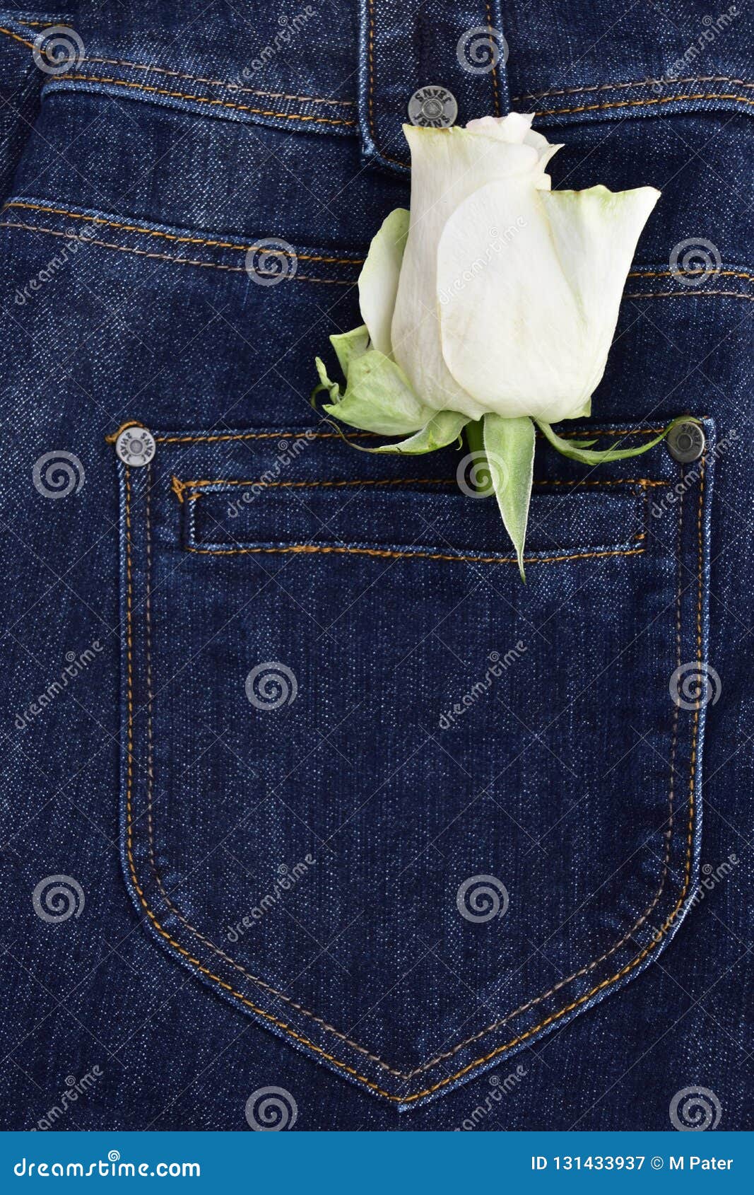 Blue Jeans with White Rose in the Back Pocket Stock Image - Image of ...