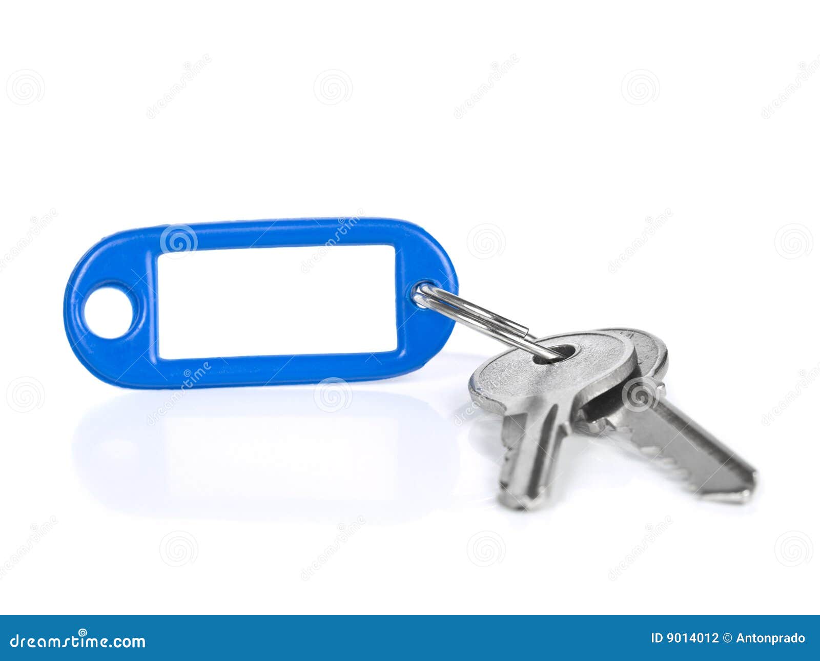 Blue keyring stock photo. Image of copy, access, plastic 9014012