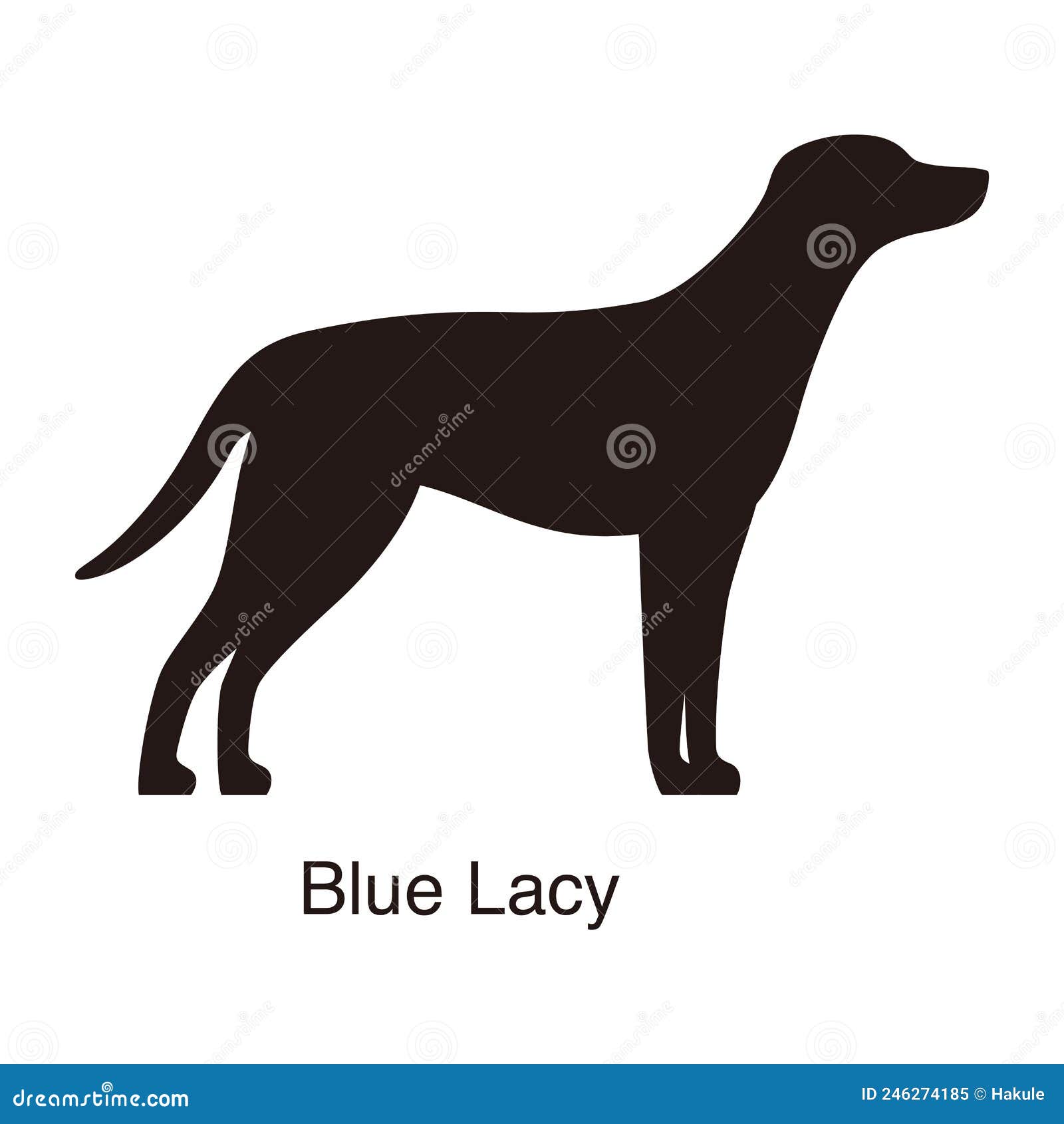 Blue Lacy, Lacy Cur Dog, Lacy Hog Dog, State Dog Of Texas Digital Art ...