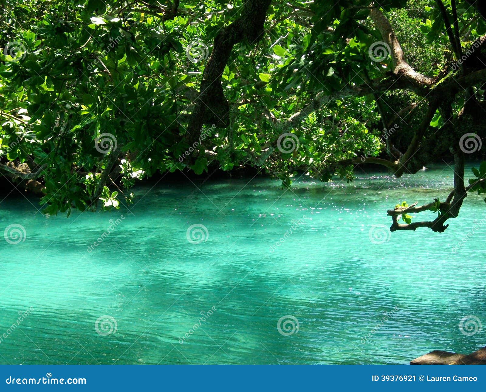 blue lagoon, efate, vanuatu