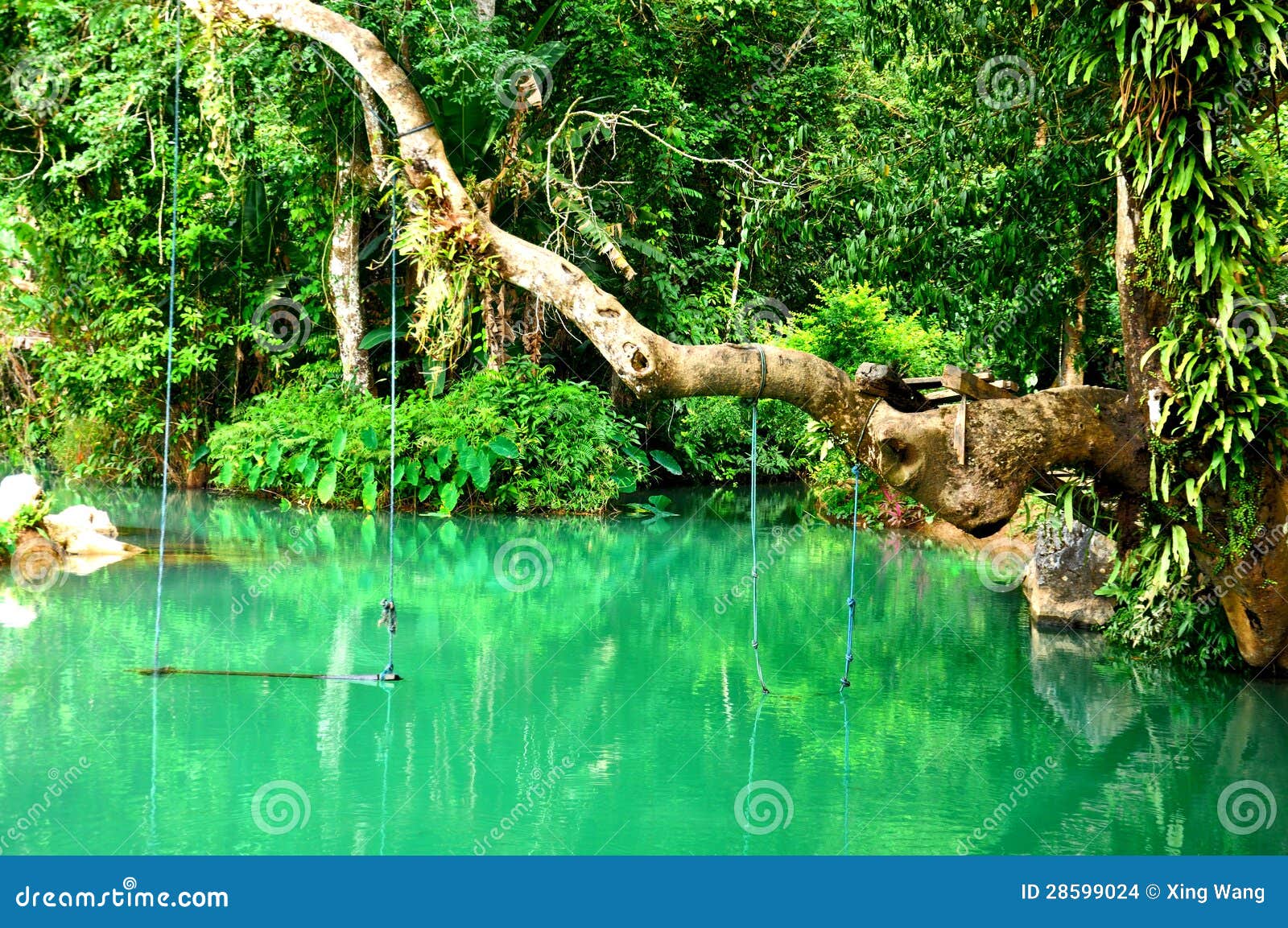 Esitellä 107+ imagen blue lagoon stream abzlocal fi