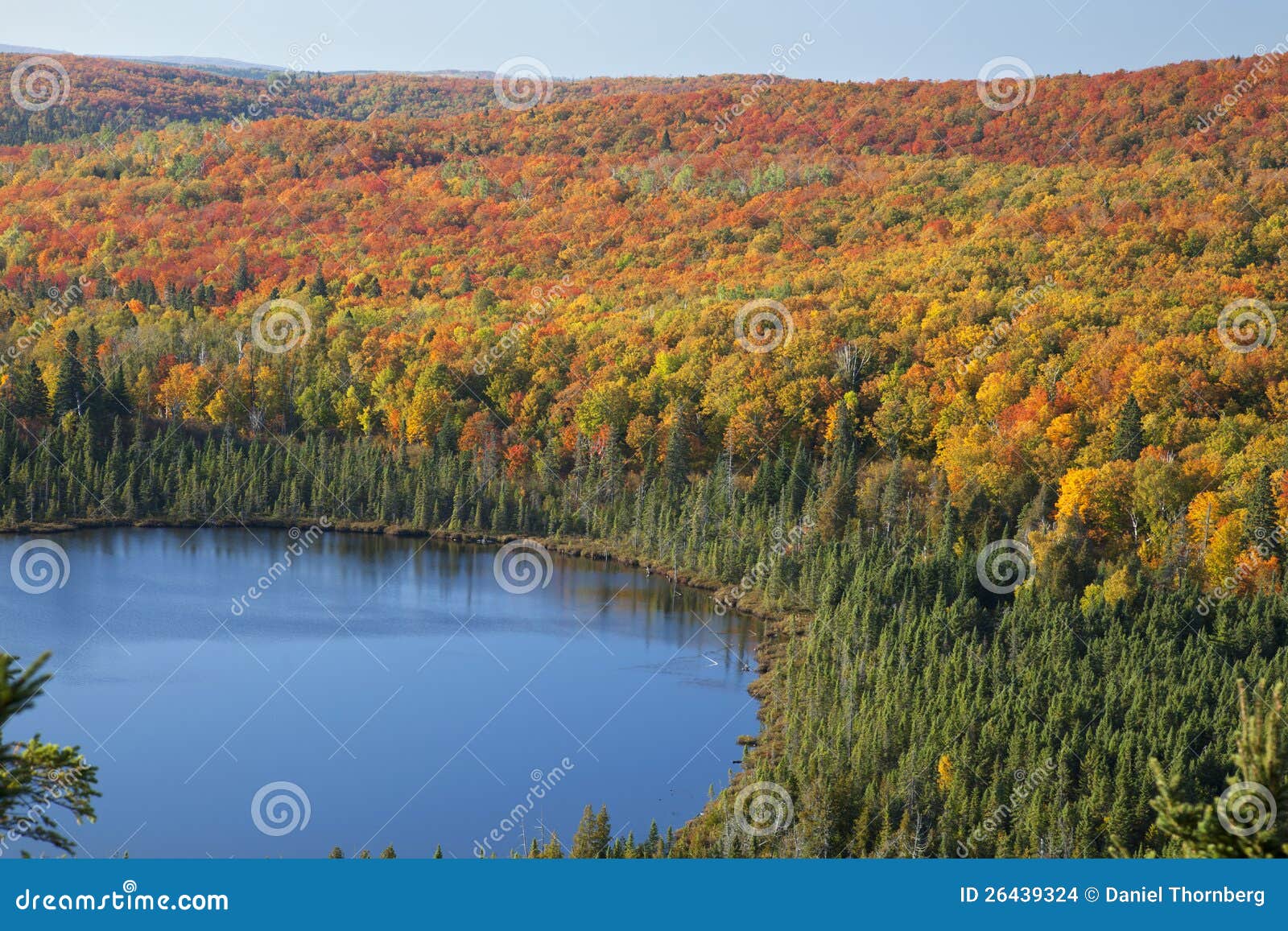 blue lake amid colorful fall trees in minnesota