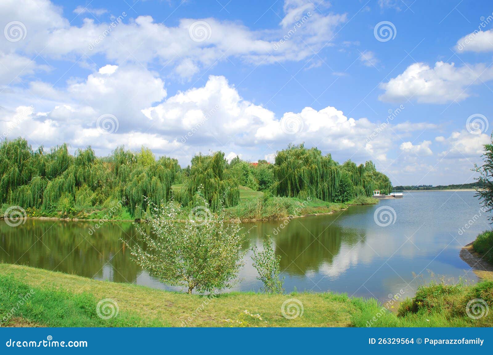 blue lake and sky with willows on the bank