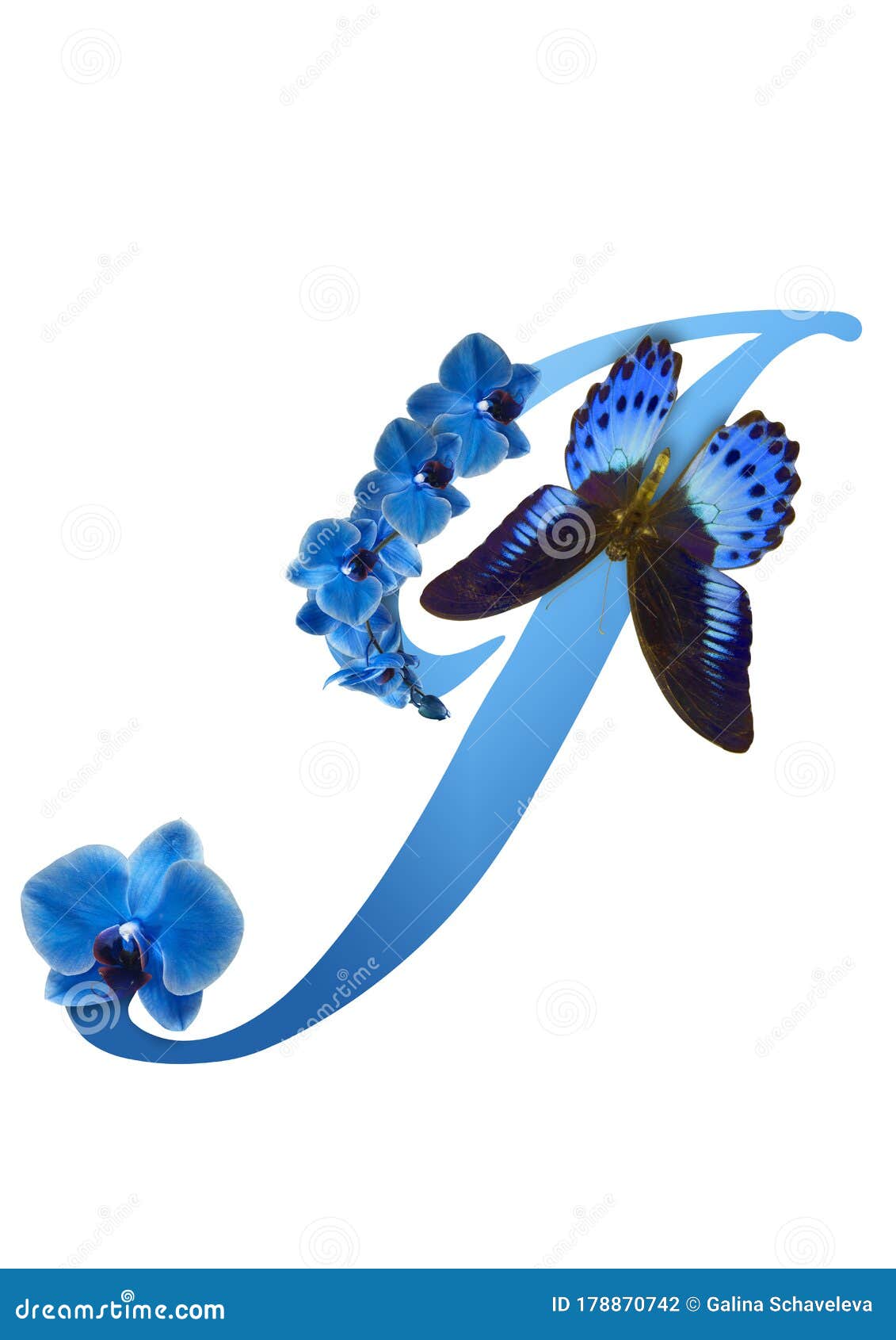 Blue Letter with Orchid and Butterfly Stock Illustration Illustration