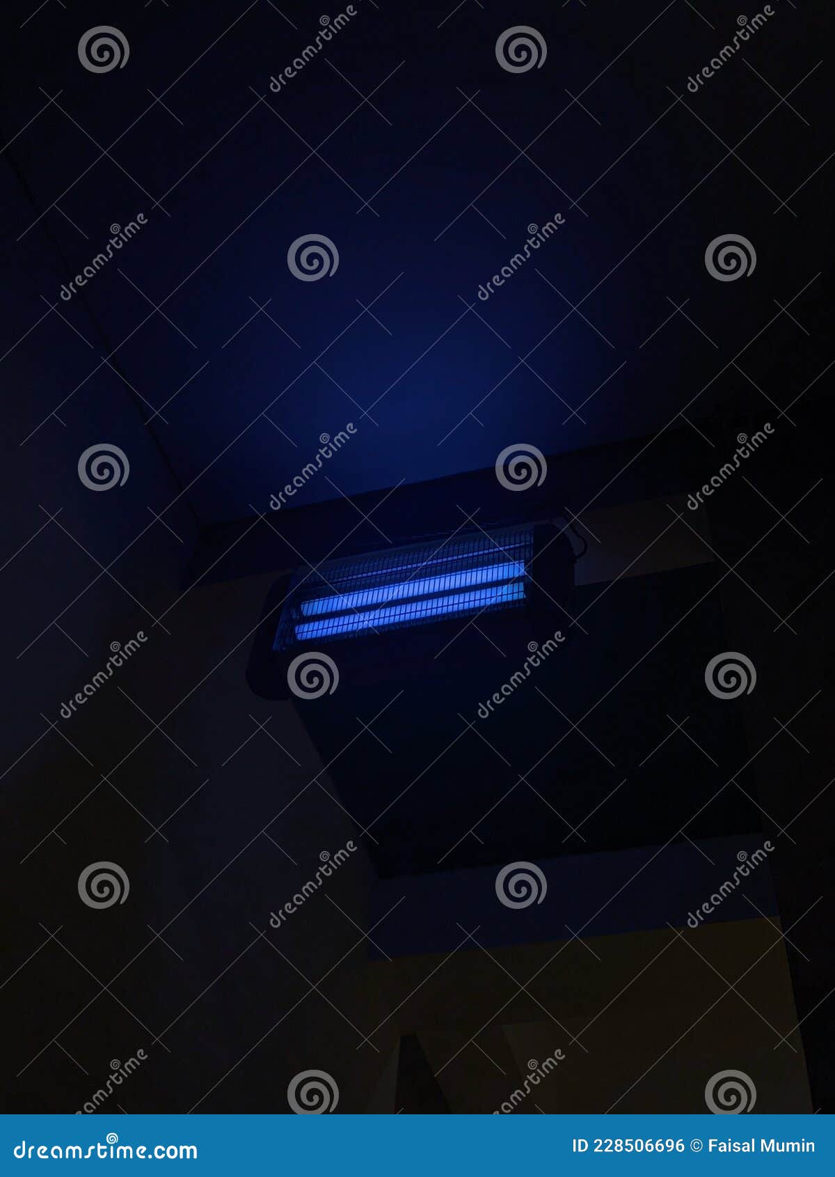 Blue Light Fly Trap in Restaurant Stock Photo Image of trap, blue