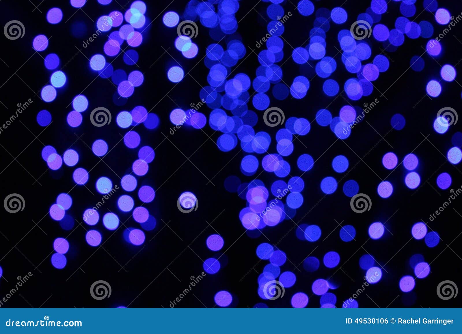 Blue Lights Stock Photo Image Of Botanical Christmas 49530106