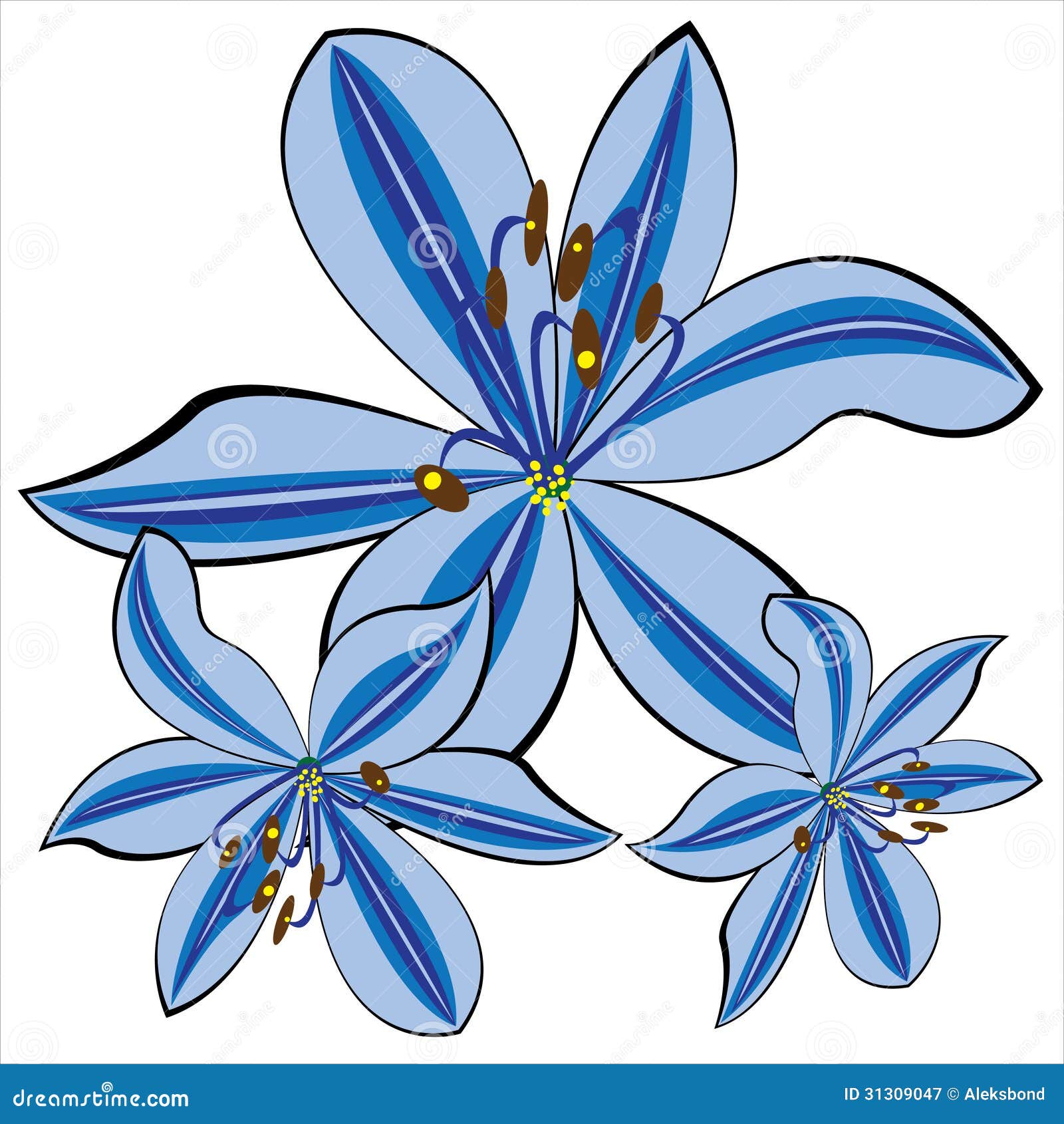 Blue Lily Isolated on White Stock Vector Illustration of object