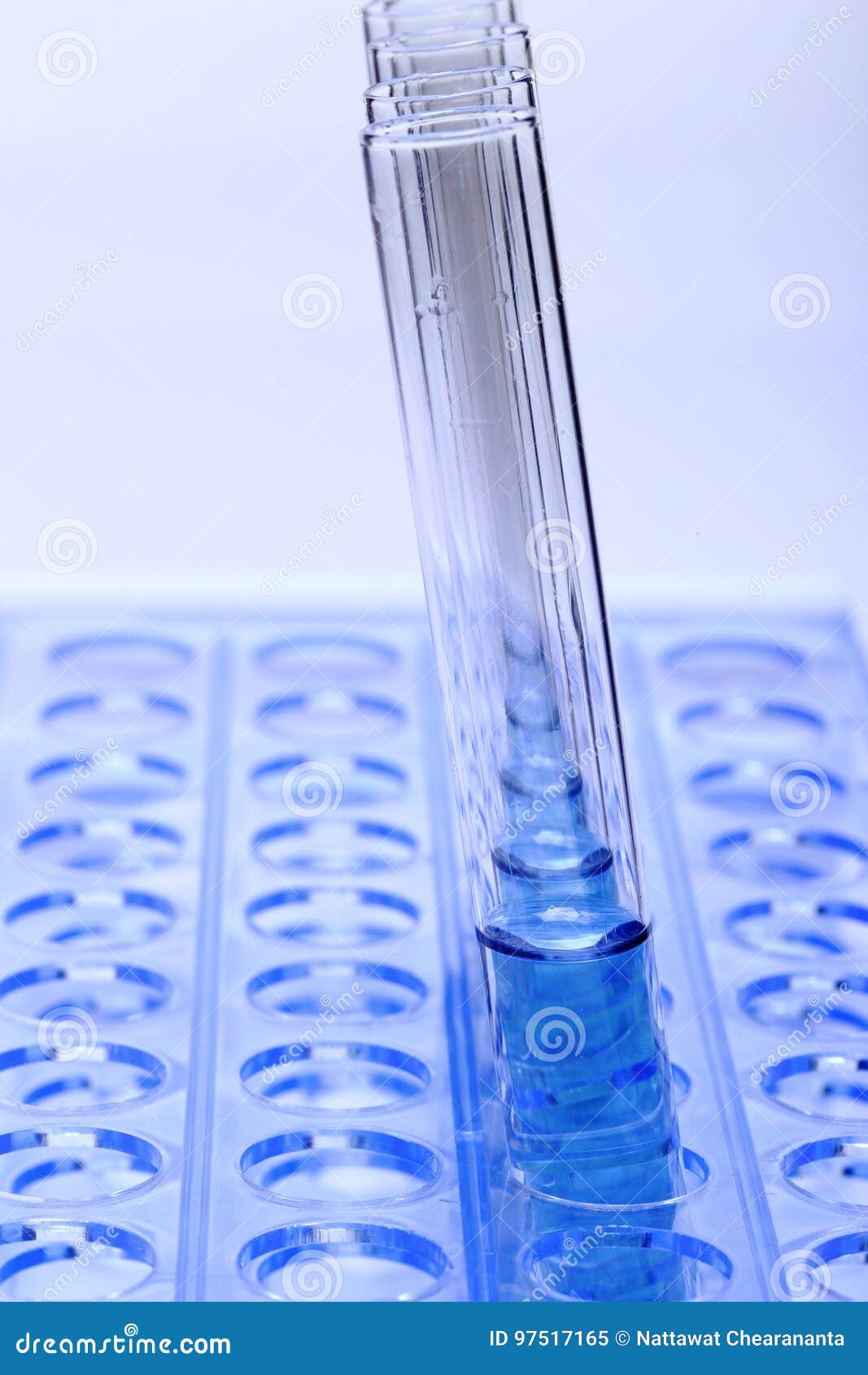 Blue Liquid in Glass Tube Lab Test Tools on Plastic Stand Holder Stock