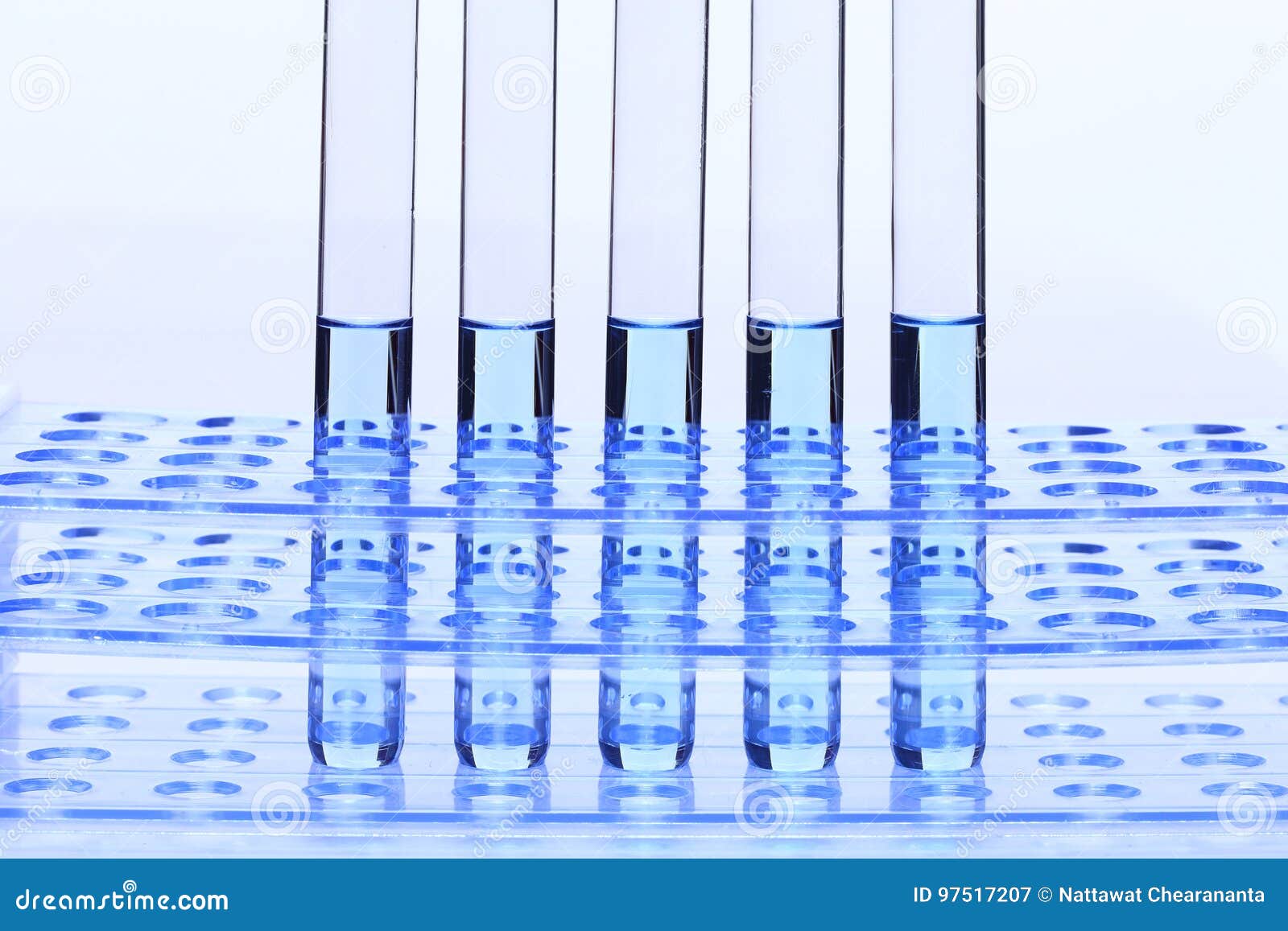 Blue Liquid in Glass Tube Lab Test Tools on Plastic Stand Holder Stock