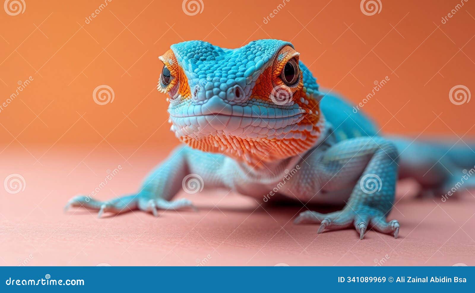 blue lizard with orange accents