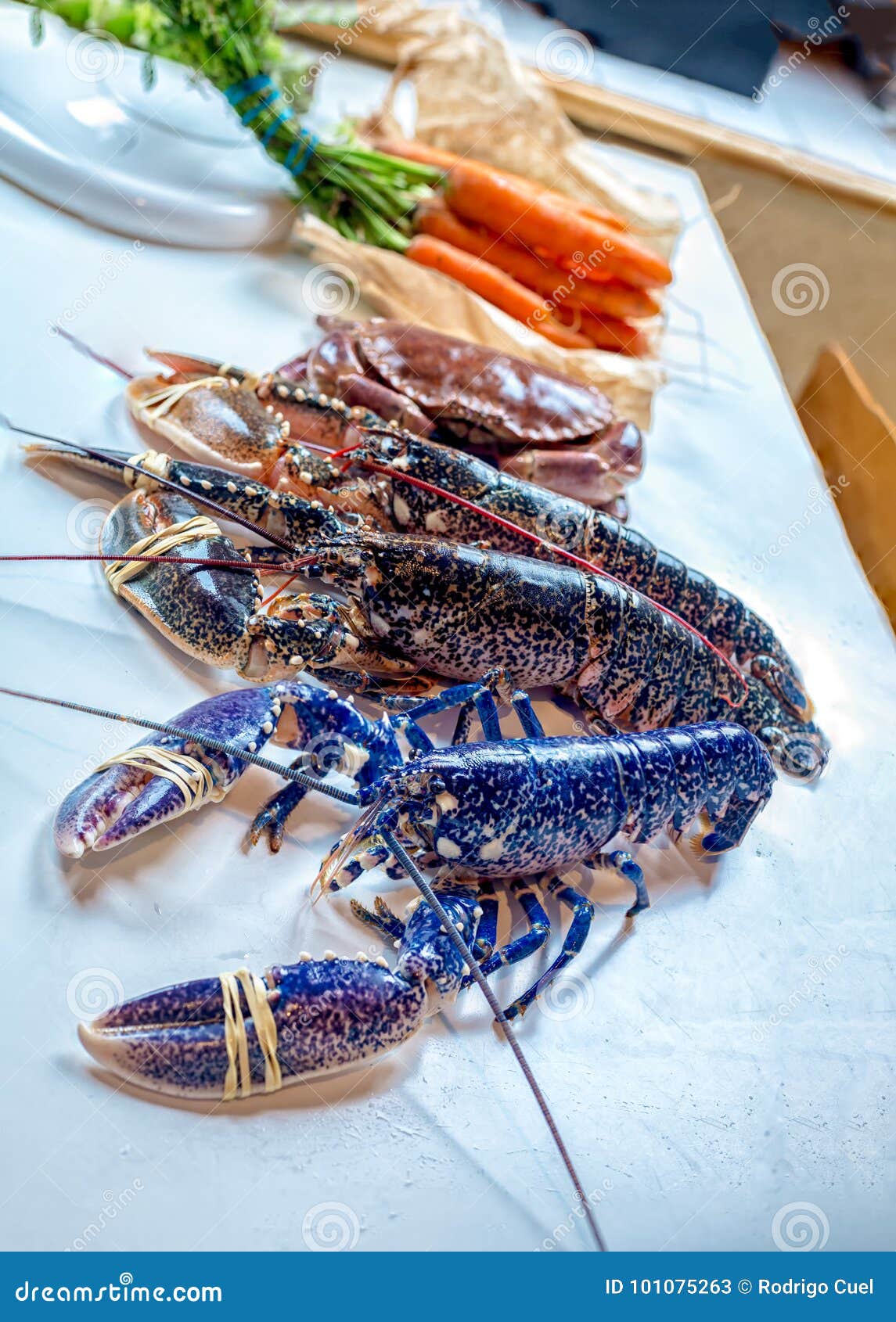 Blue lobster stock image. Image of claw, meal, seafood 101075263