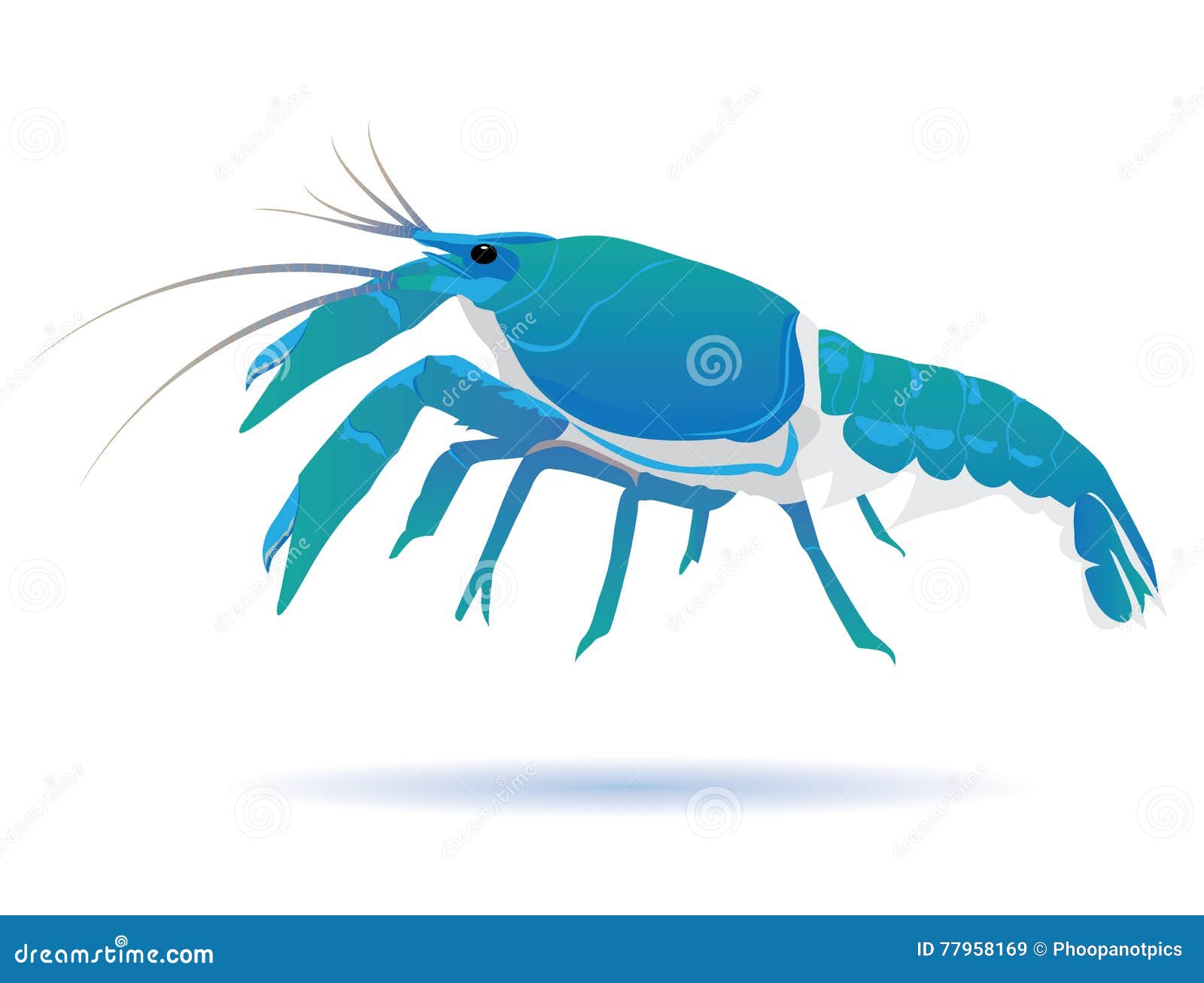 Blue lobster stock vector. Illustration of cartoons, crab 77958169