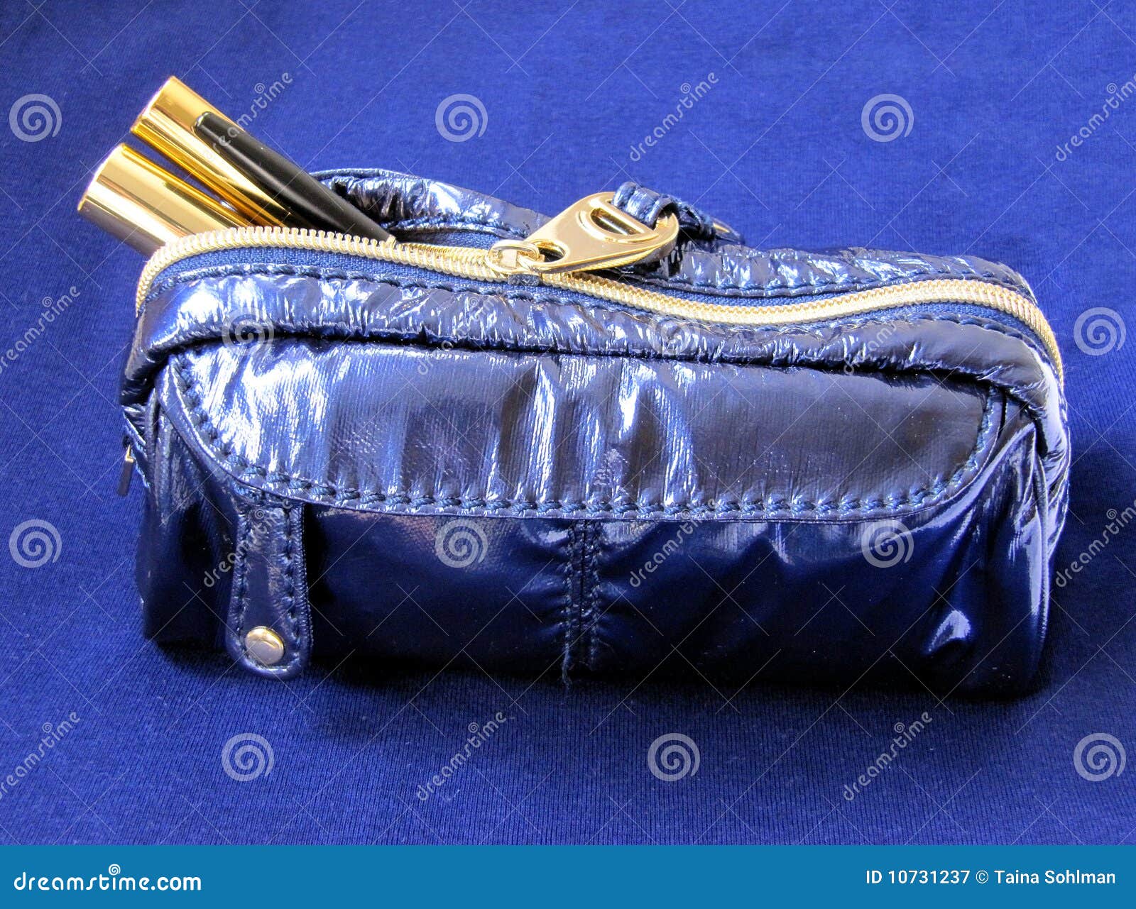 Blue Makeup Bag stock image. Image of luxury, makeup 10731237