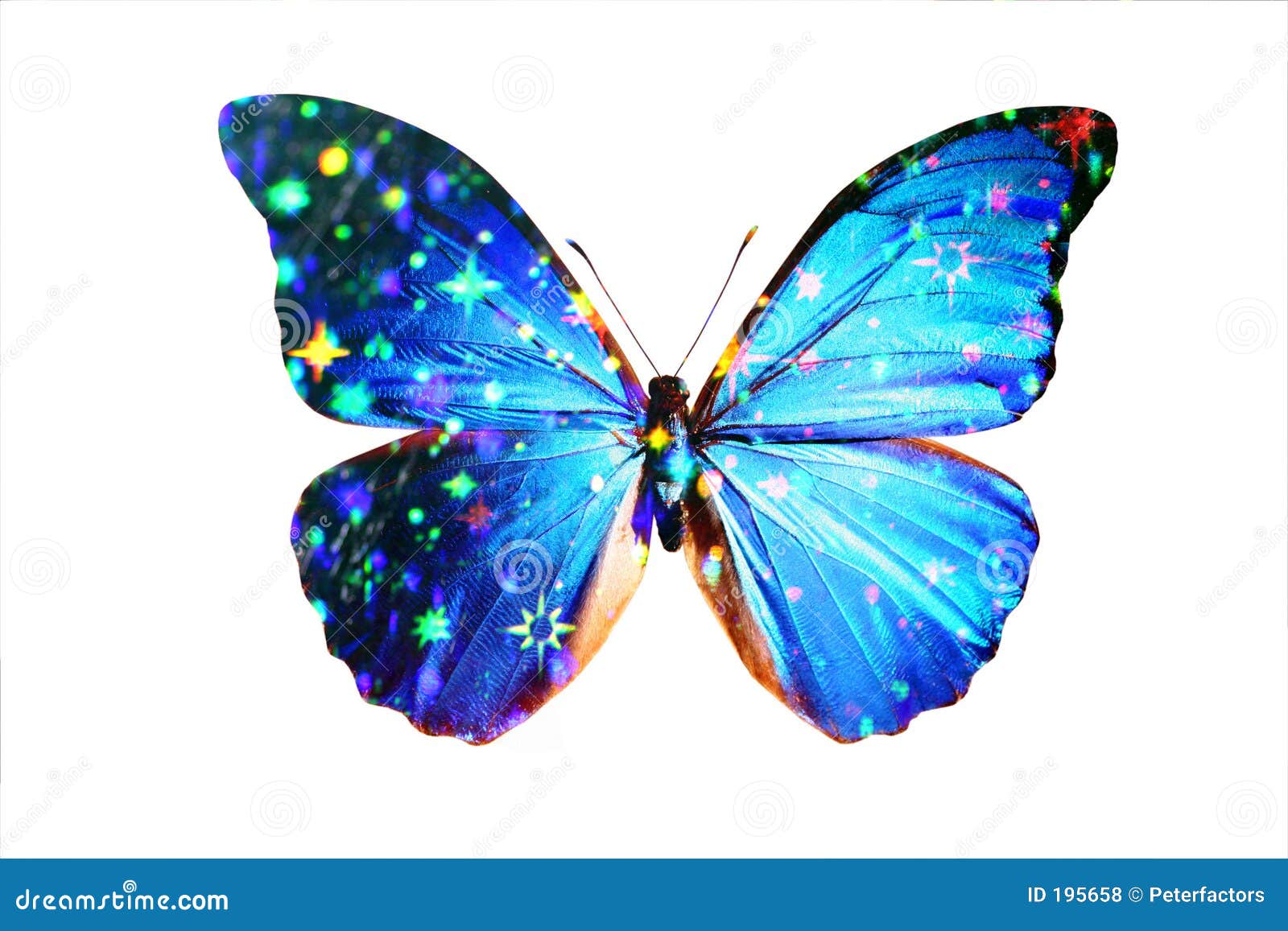 Blue Morpho stock illustration. Illustration of blue, classy  195658