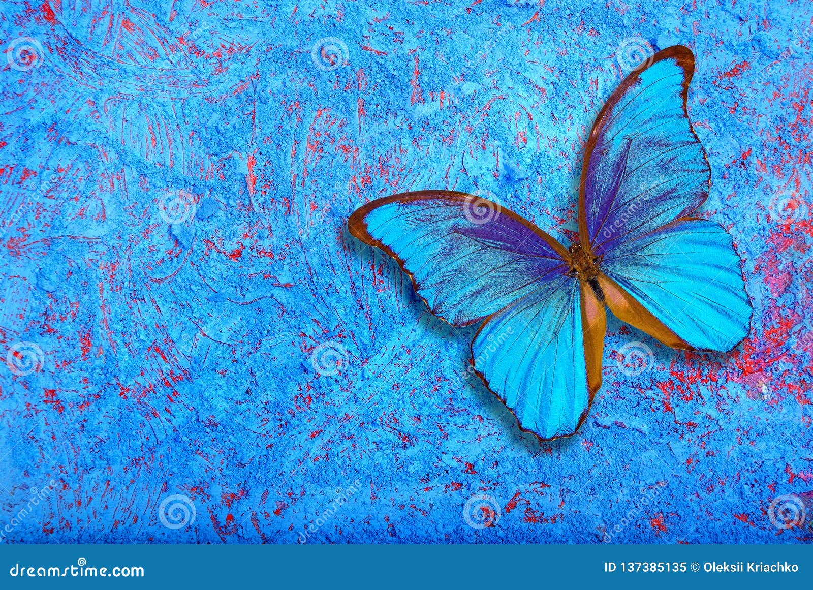 Khám phá bức ảnh Monarch của chú bướm đầy đam mê và màu sắc tươi tắn. Một thiên tài thiết kế thực sự đã dùng màu sắc, đường nét và ánh sáng để tạo nên một bức tranh đẹp ngất ngây và ấn tượng.