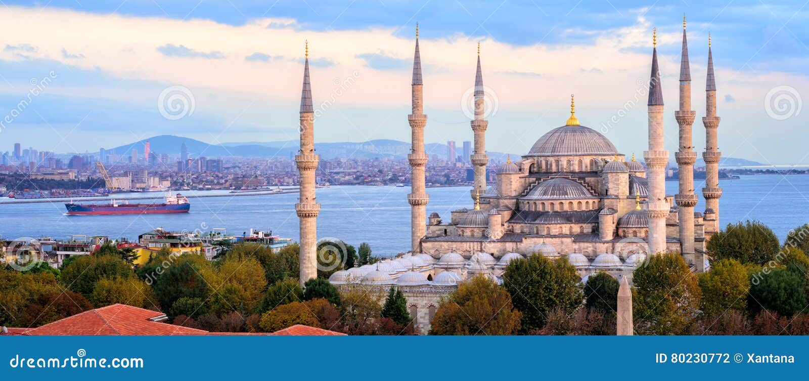 blue mosque and bosporus panorama, istanbul, turkey