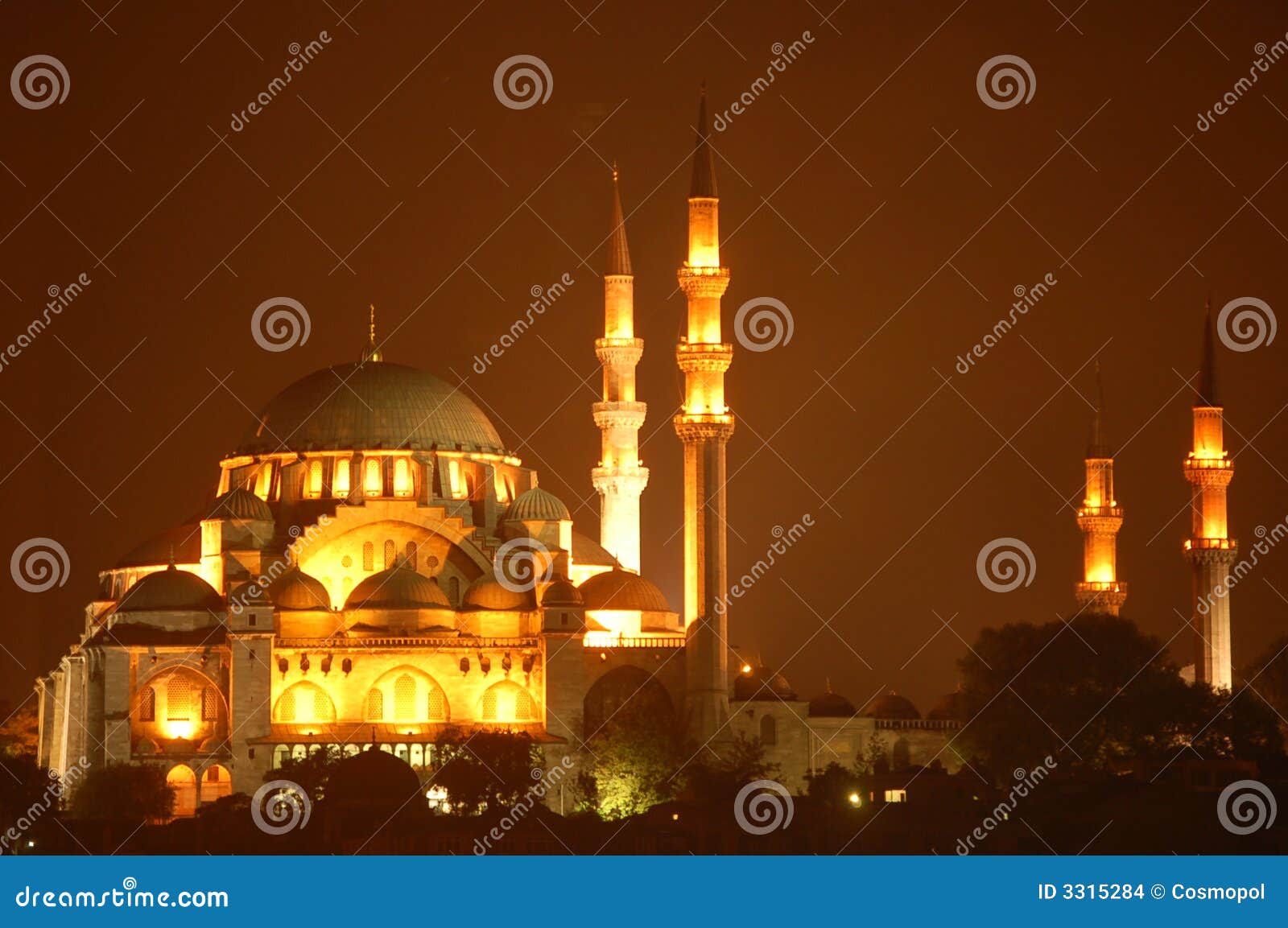 blue mosque by night