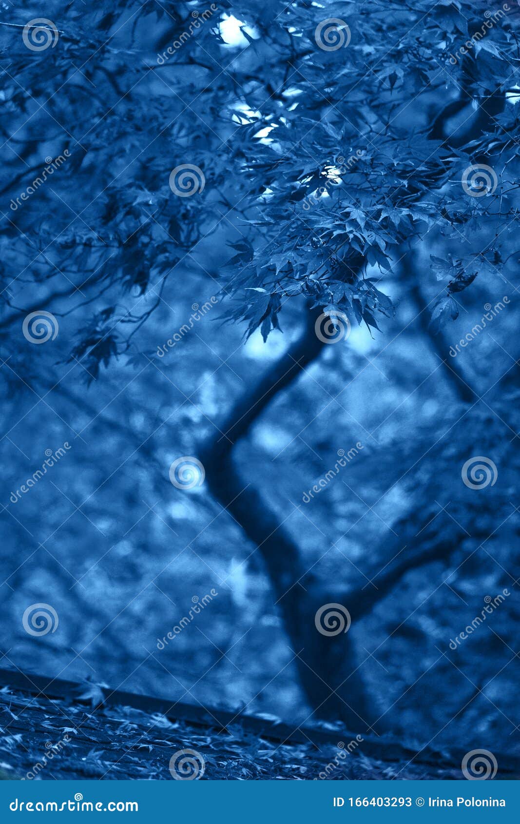 Với màu sắc xanh dương trong hình nền, bạn sẽ cảm thấy rất dễ chịu và bình yên. Hình ảnh này đem lại cho bạn một không gian tràn đầy sức sống và sự phóng khoáng. Hãy thả mình vào thiên nhiên với hình nền xanh dương này.