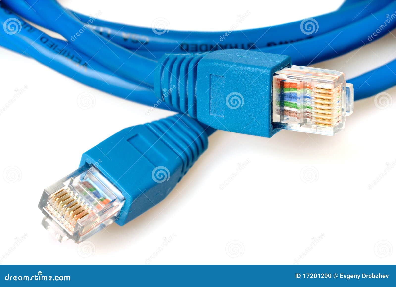 Blue Network Cable with Jack Stock Photo Image of broadband