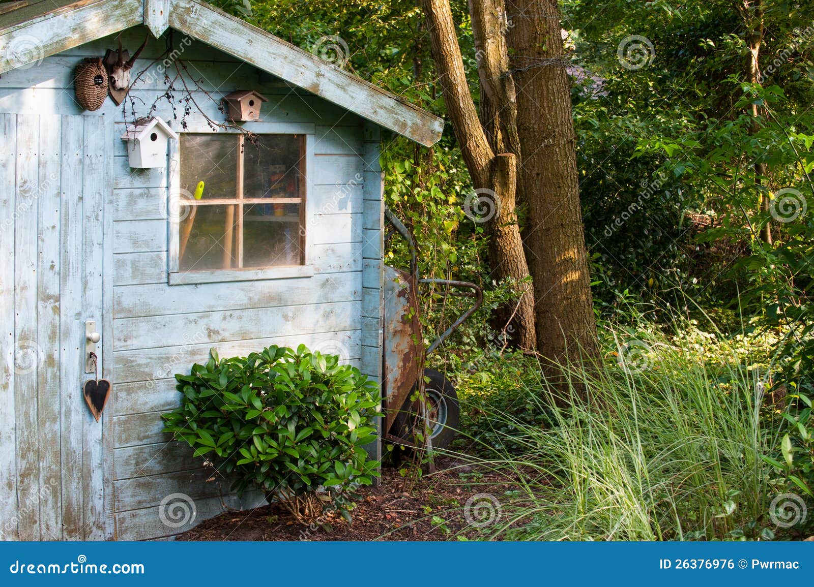 blue old garden shed stock photo. image of green, tool
