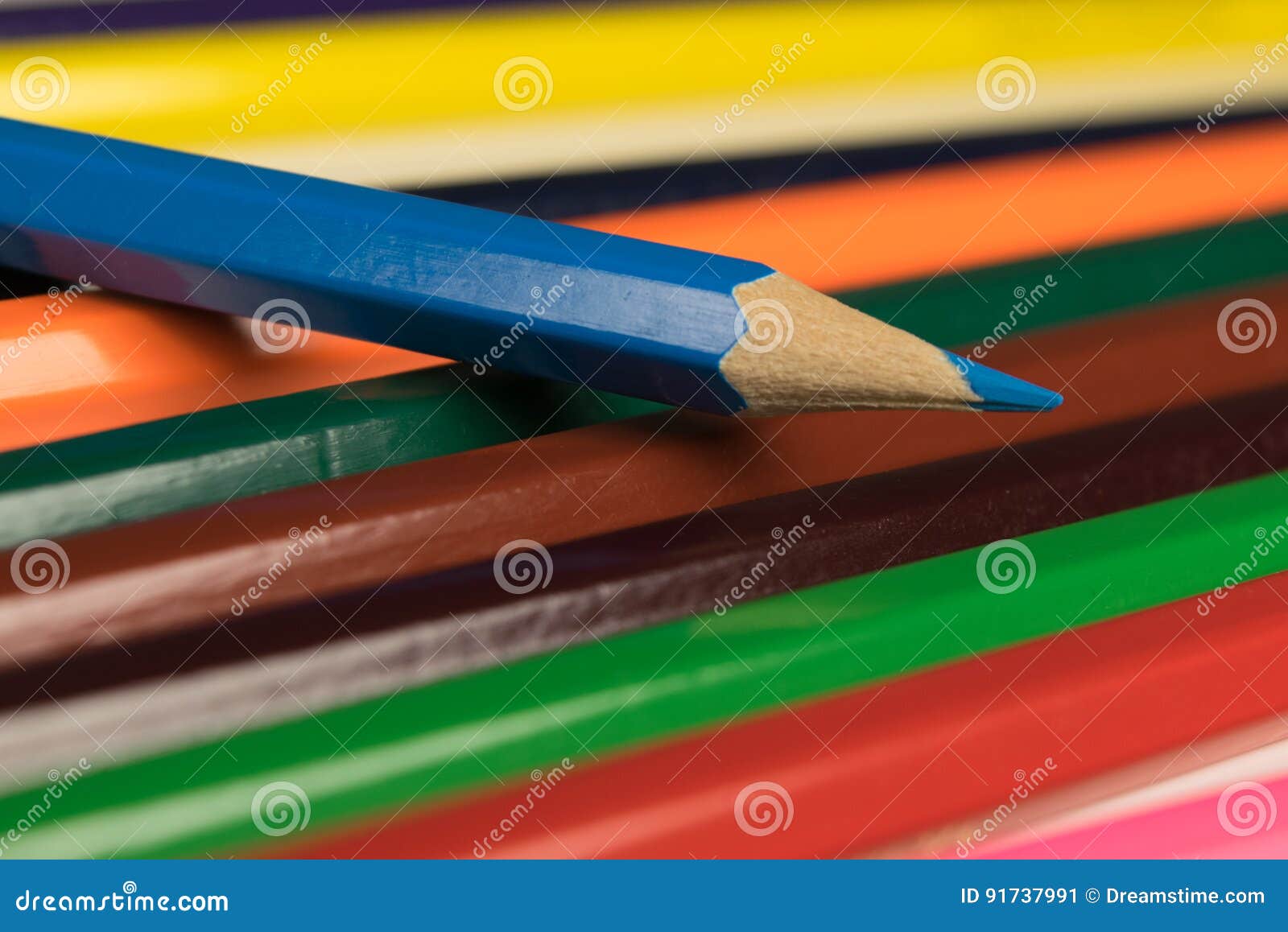 Blue Pencil on Colored Pencils Stock Image Image of colored, office