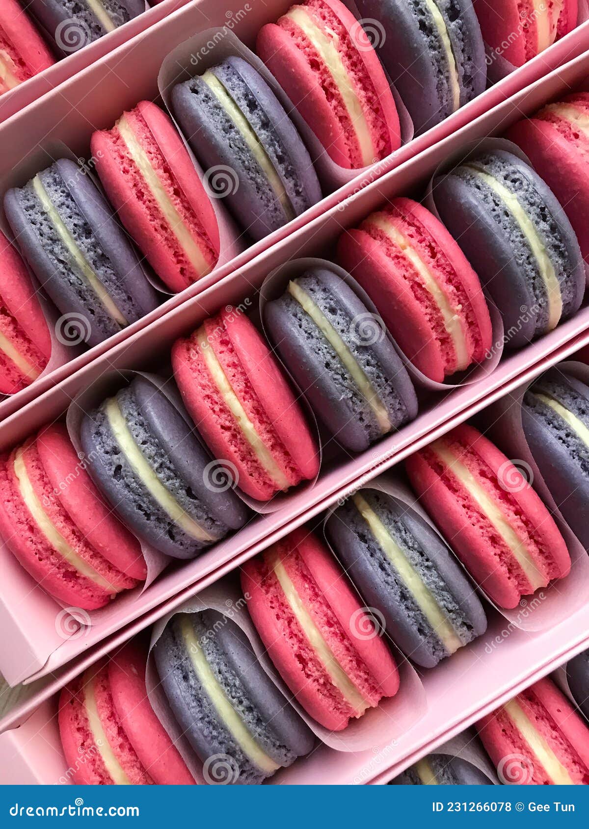 Blue and Pink Macaron in Boxes Stock Photo Image of macaron, almond 231266078