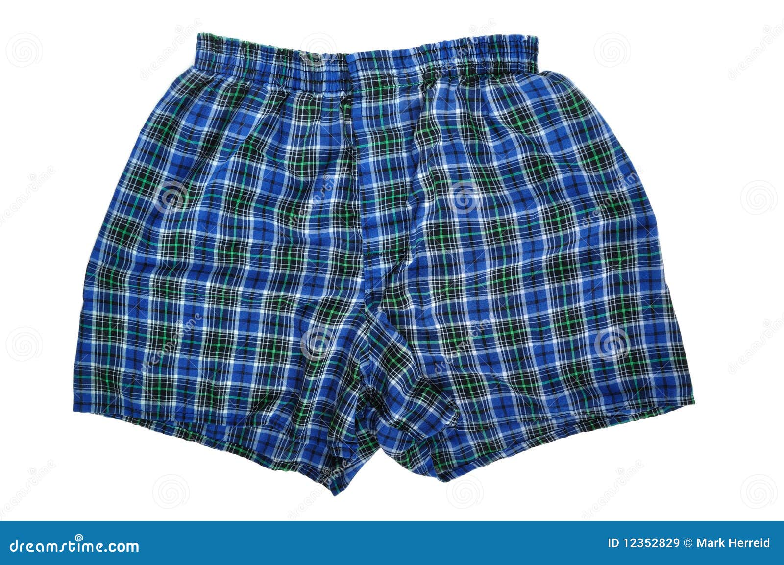 Blue Plaid Boxers stock image. Image of single, clothes - 12352829