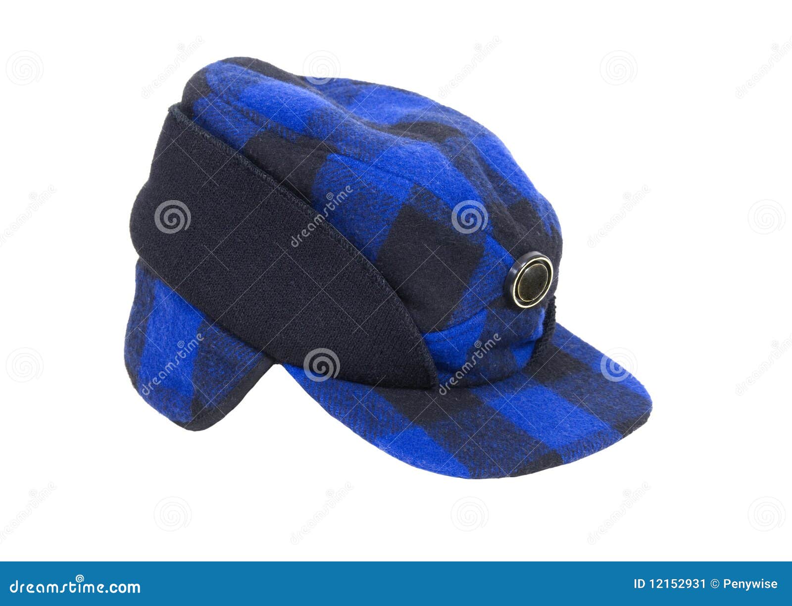 Blue plaid hunters Hat stock image. Image of warmth, flaps 12152931
