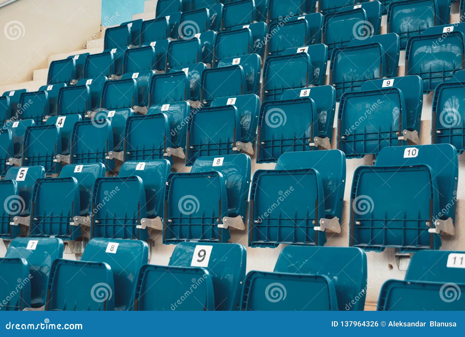 blue plastic chairs on the stands of the sports hall