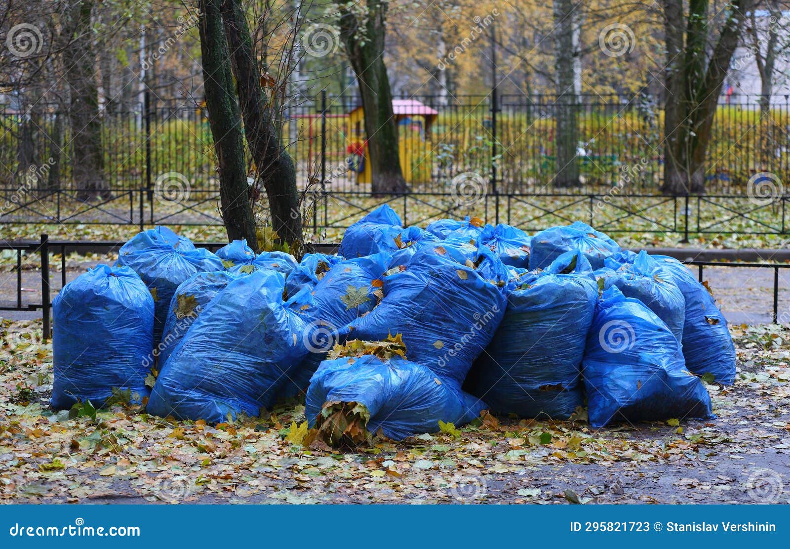 Blue Plastic Garbage Bags with Fallen Leaves are Lying on the Lawn