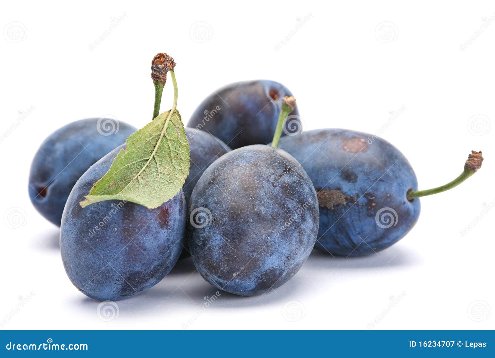 blue plum with leaf