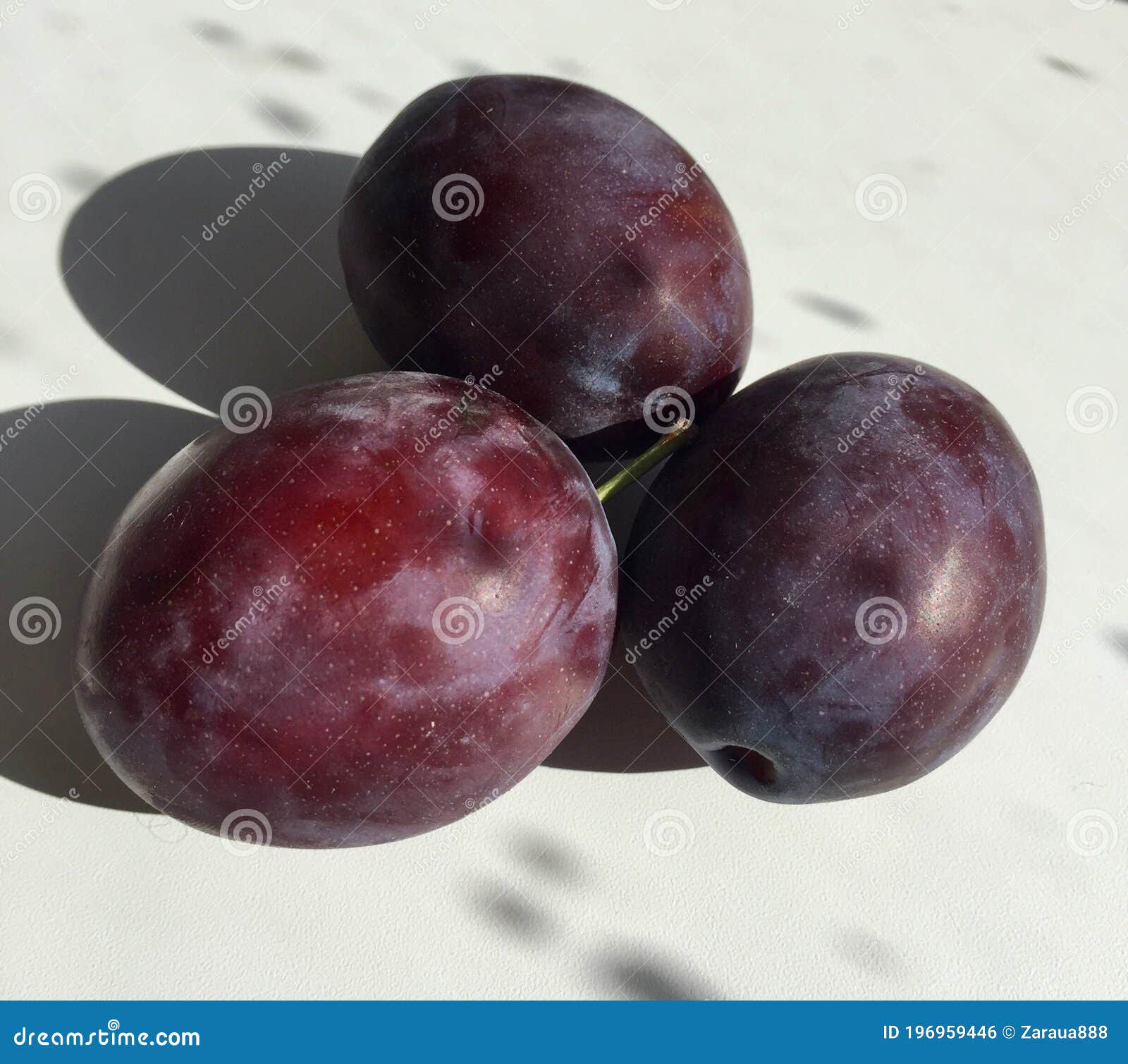 A blue plums stock photo. Image of fresh, light, plums 196959446