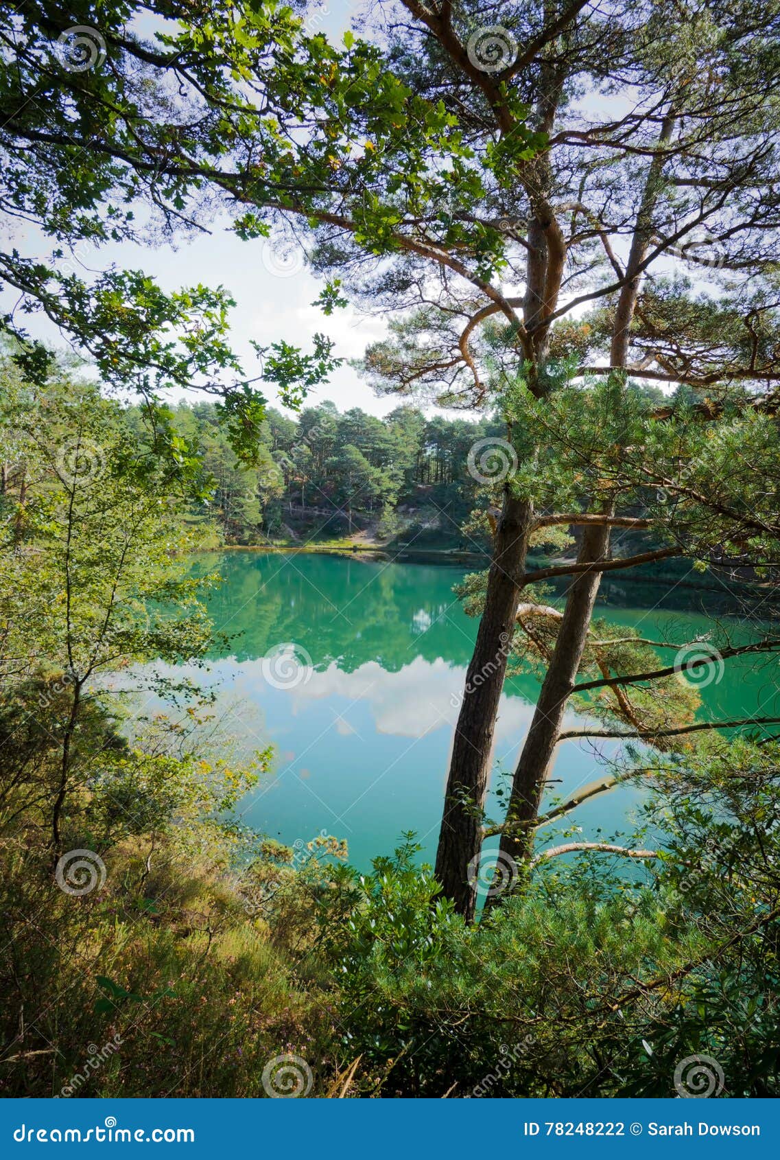 Blue Pool Furzebrook In Dorset Uk Stock Photo Image Of Colours Water 7422 Blue Pool Furzebrook In Dorset Uk Stock Photo Image Of Colours Water 7422