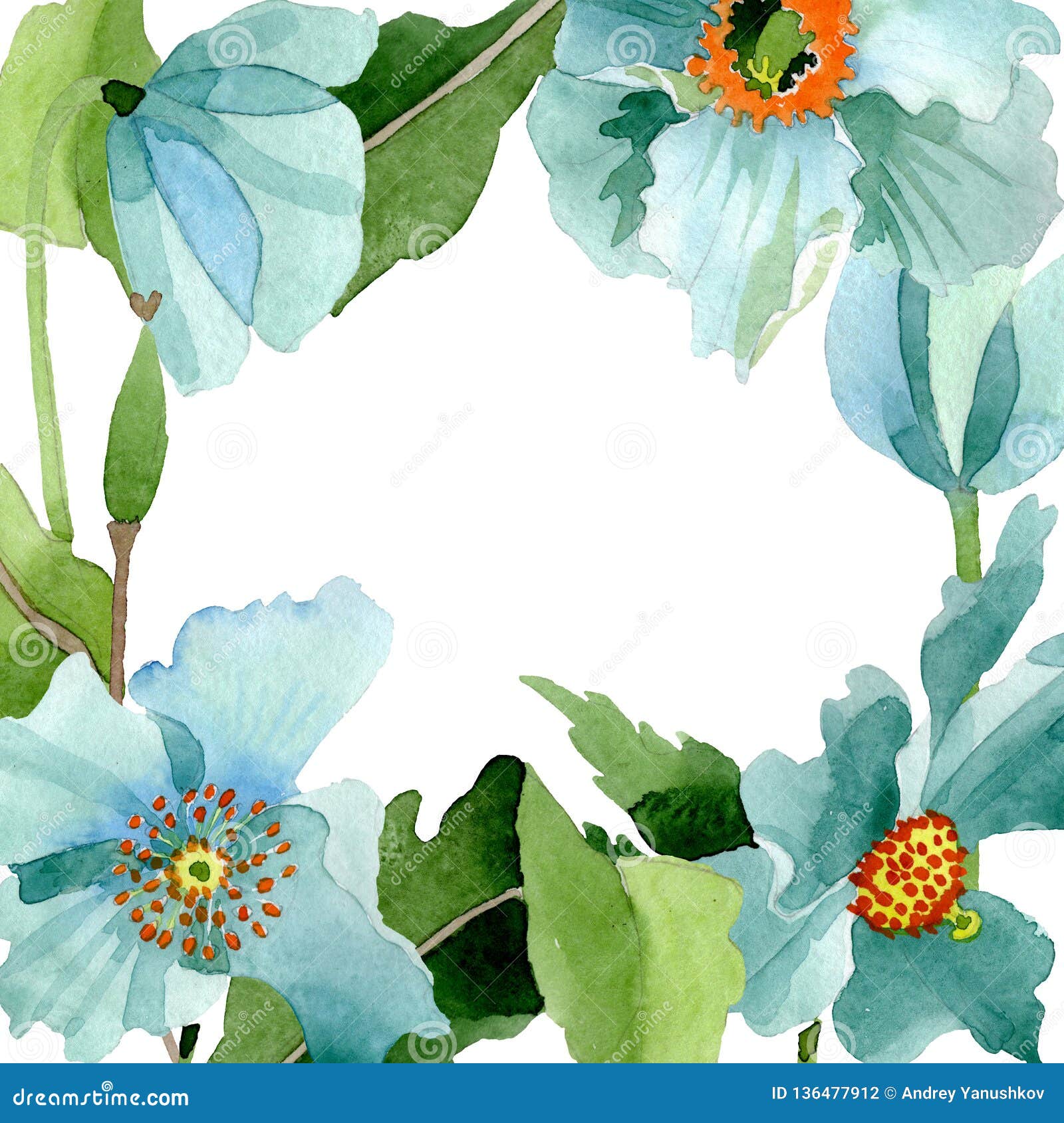 Blue Poppy Floral Botanical Flower Watercolor Background Illustration