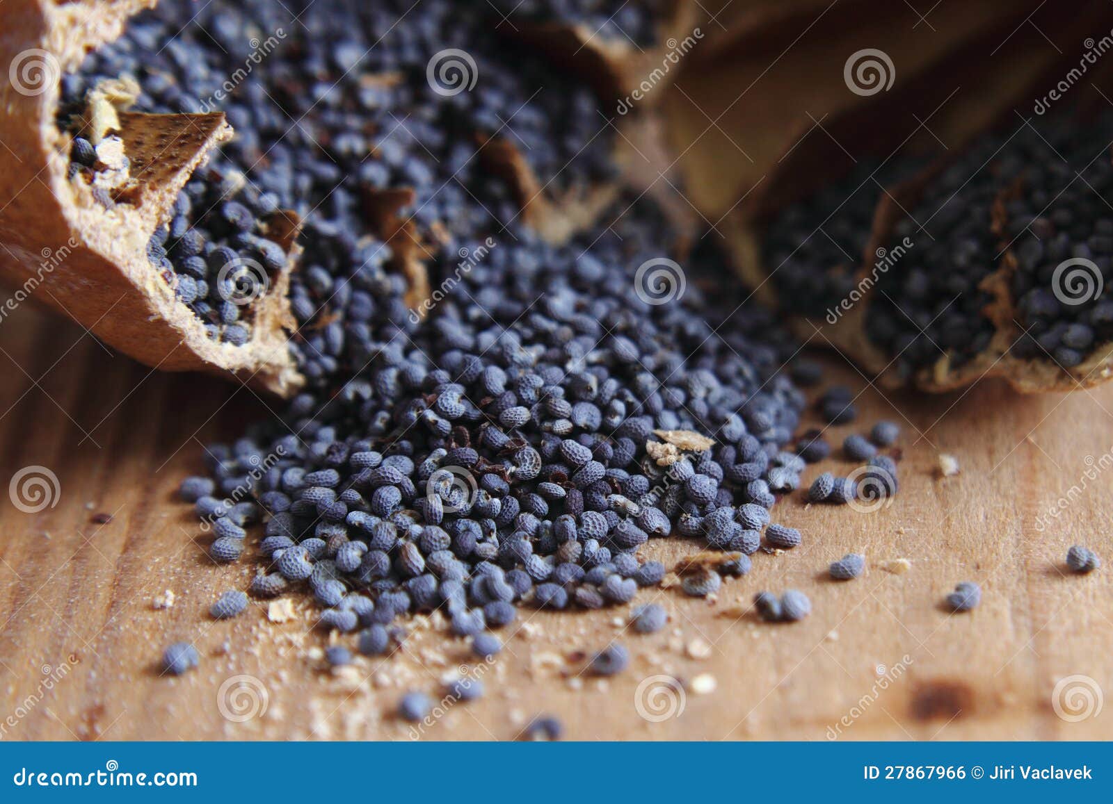 Blue poppy seeds stock photo. Image of opium, czech, plant 27867966