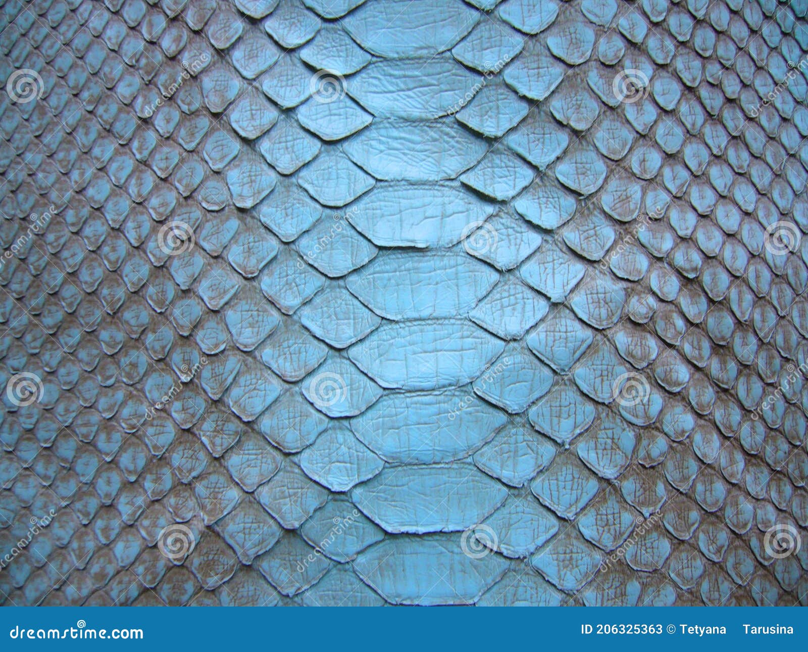 Blue python skin snake. stock image. Image of textile - 206325363