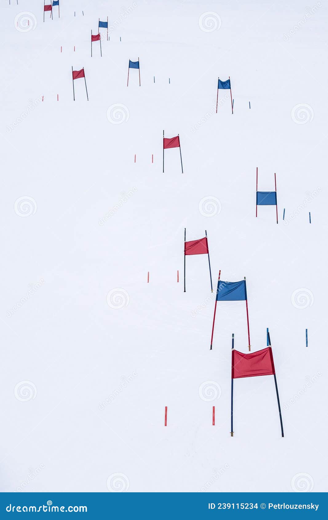 Blue and Red Ski Gates for Slalom Stock Photo Image of gates, competetion 239115234