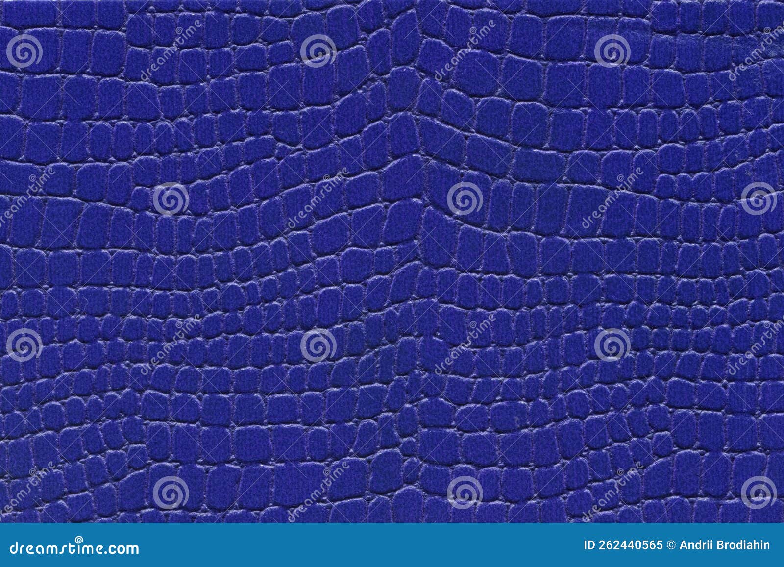 Blue Reptile Skin. Crocodile Leather Texture Background Stock Image