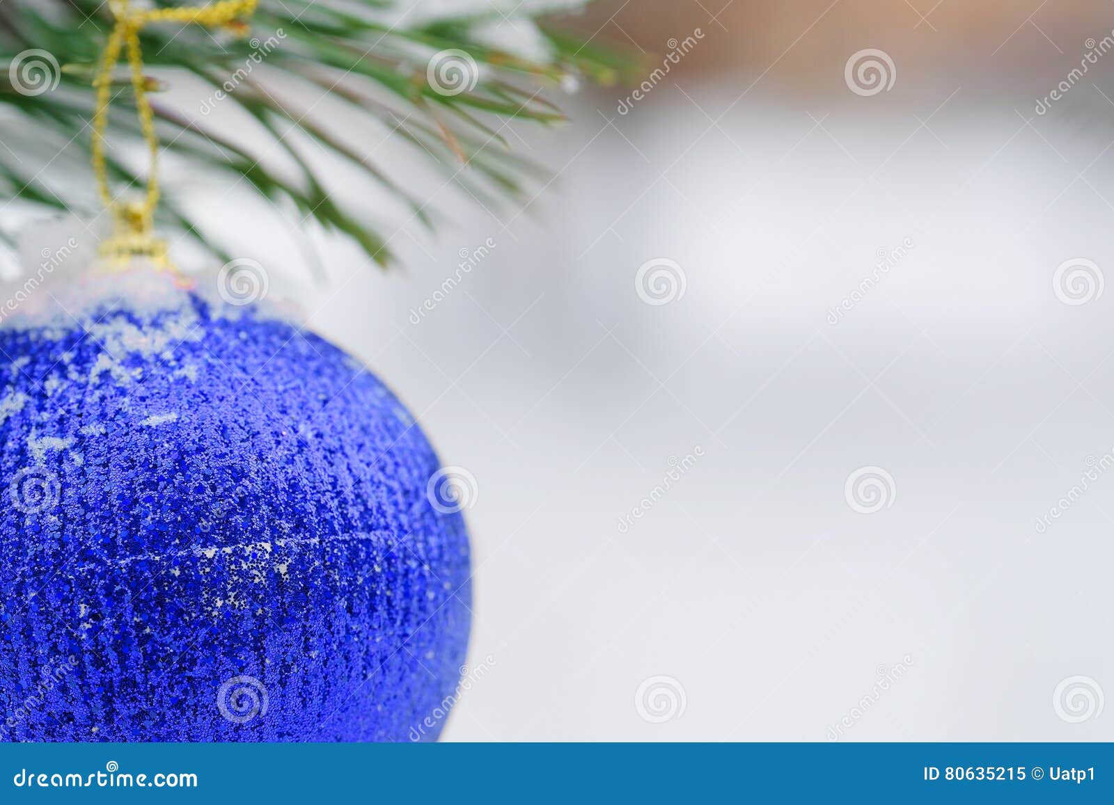 Blue Ribbon on the Christmas Tree Stock Image Image of space