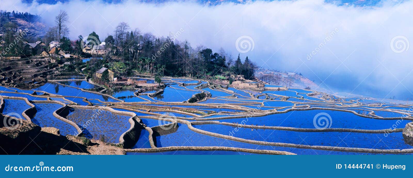 blue rice terraces panorama of yuanyang