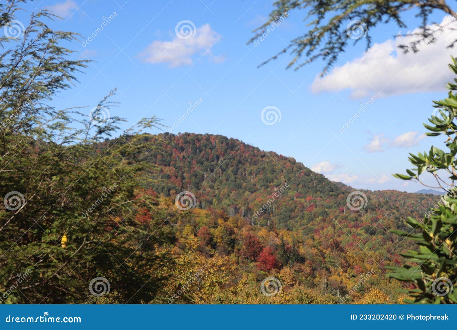 blue ridge mountians in fall season