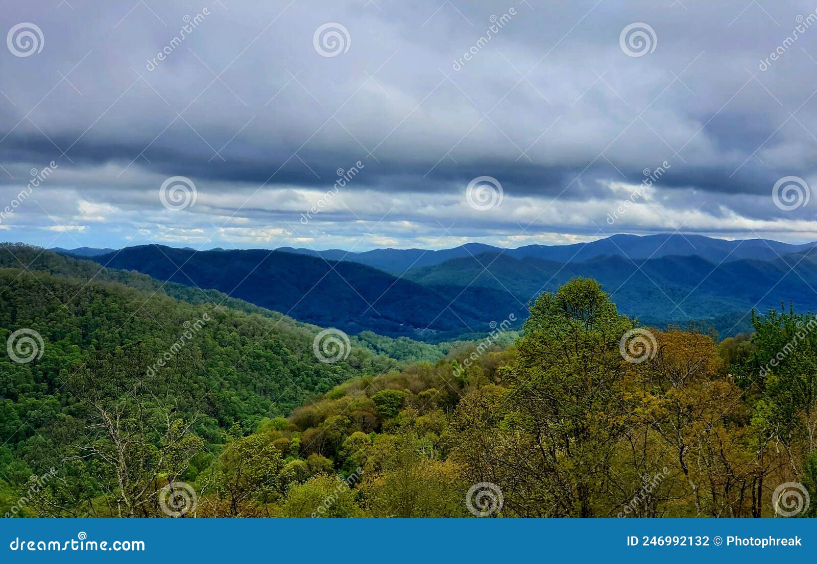 blue ridge mountians in spring in a cloudy day
